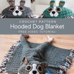 Free crochet pattern for a hooded dog blanket.