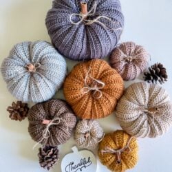 Assorted knitted and crochet pumpkins in various colors and sizes, along with pinecones, arranged on a light surface. A "Thankful" sign is placed at the bottom, adding a touch of rustic farmhouse charm.