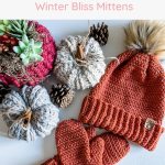 Winter bliss mittens crochet pattern.