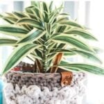 Learn how to create a stunning bobble stitch crochet basket with the help of our pattern and video tutorial.