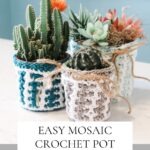 Assorted succulents in crochet-covered pots with a caption promoting an easy Easter Mosaic Crochet pot cover pattern.