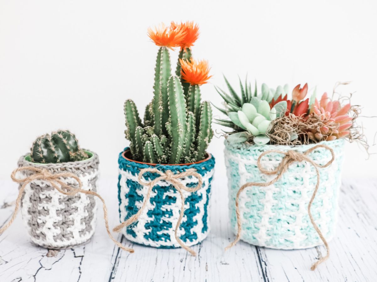 Three potted plants with a variety of succulents and cacti in handmade crochet covers featuring an Easter mosaic pattern on a white background.