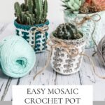 A display of crocheted pot covers with succulent plants, featuring a free Easter Mosaic Crochet Pattern advertisement.