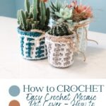 Colorful crocheted pot covers displaying a variety of succulents with an Easter Mosaic Crochet Pattern title.