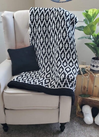 A chair with a Granite Ridge blanket and a potted plant.