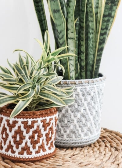 A potted paradise on a wicker basket with mosaic accents.