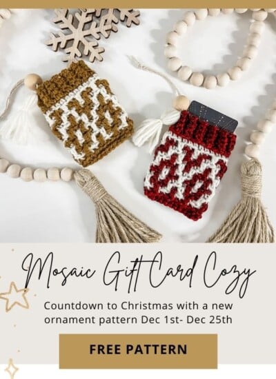 A crocheted Mosaic Gift Card Cozy with tassels.