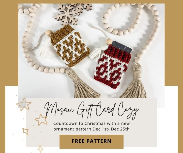 A crocheted Mosaic Gift Card Cozy with tassels.