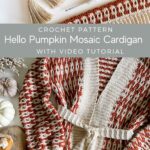 Hello pumpkin mosaic cardigan tutorial with crochet hat.
