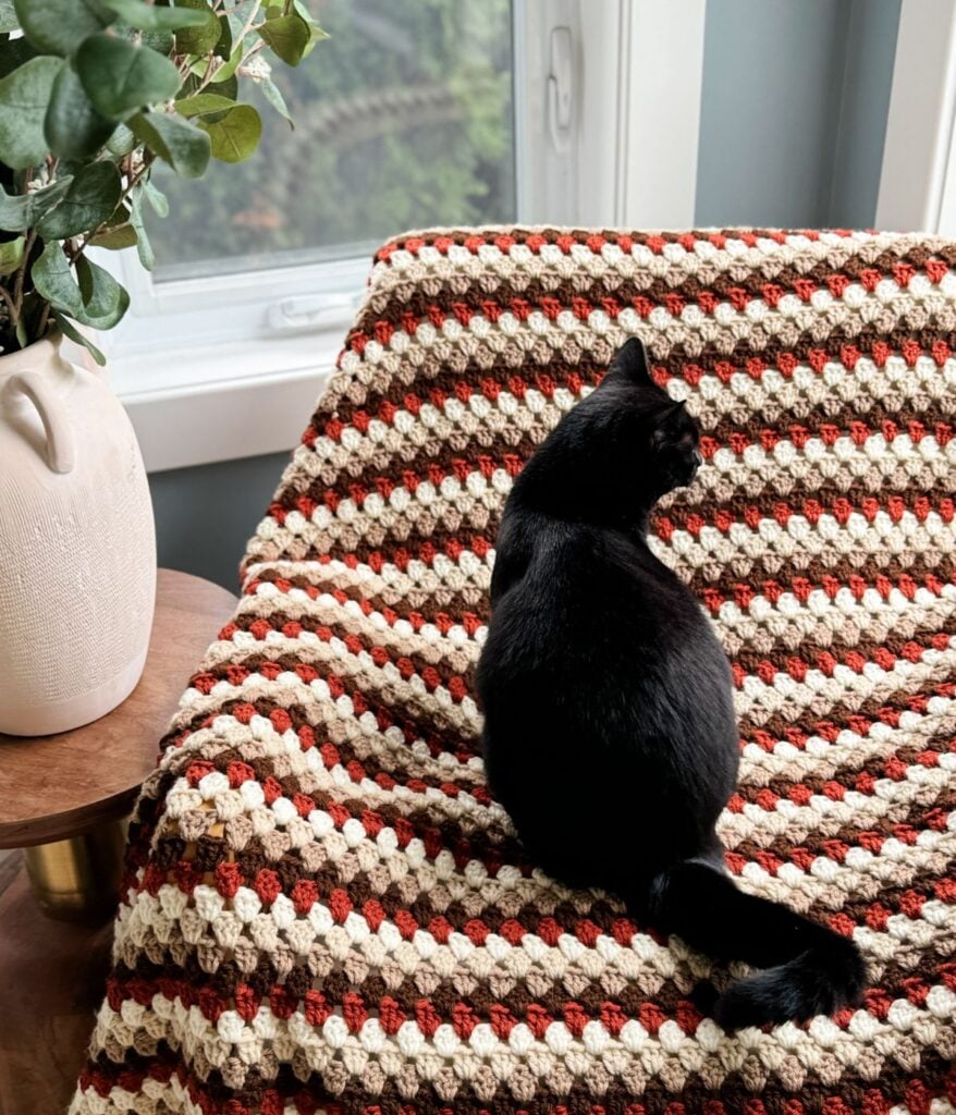 A black cat sits on a Granny Stitch Blanket with a striped pattern in front of a window. A potted plant is visible on a table beside the cat.