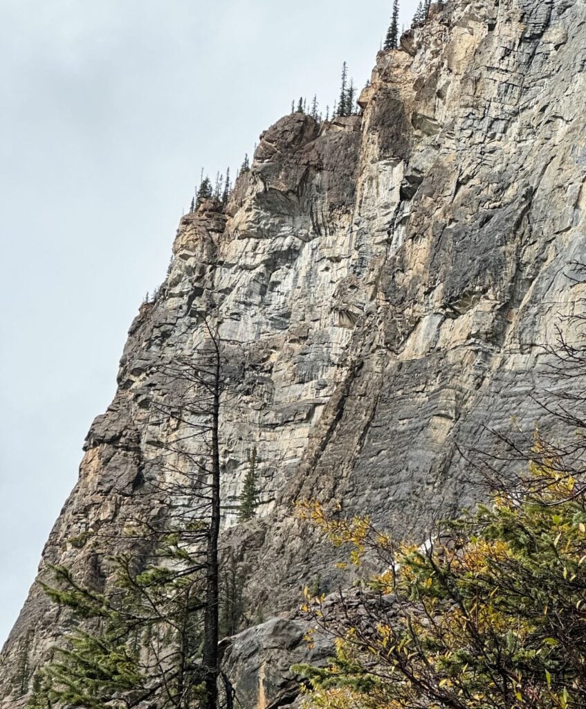 Steep rocky cliff face with sparse trees and greenery at its base; small trees grow on the cliff like a Granny Stitch Hat pattern. The sky is overcast.
