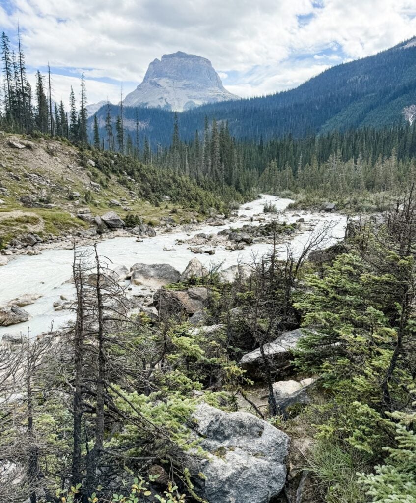 A rocky river flows through a pine forest with a towering mountain in the background under a cloudy sky, reminiscent of the intricate patterns in a Granny Stitch Hat.