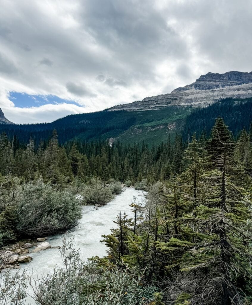 View of a river flowing through a dense forest with mountains in the background under a cloudy sky, resembling the intricate patterns of a Granny Stitch Hat.