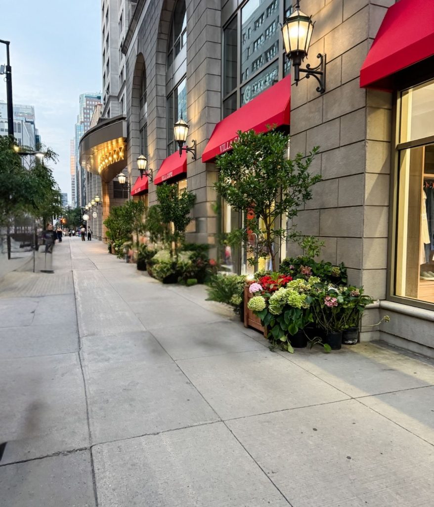 Sidewalk view of a city street lined with shops featuring red awnings, large windows, and even a boutique window showcasing a stylish men's crochet cardigan amid potted plants along the storefronts.