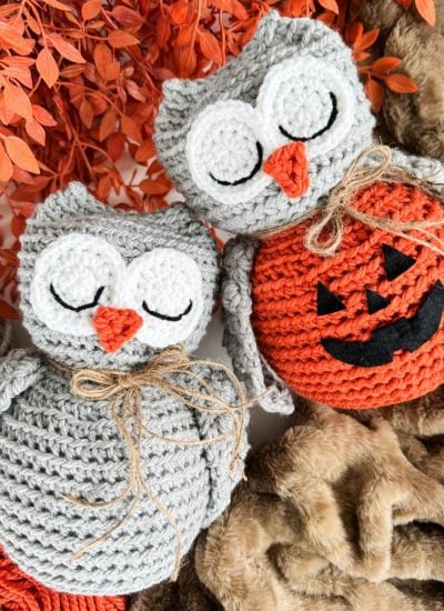 Two crocheted owls with closed eyes and twine bows lie on a textured surface; one owl, made from an Owl Crochet pattern, sits on a pumpkin with a Jack-o’-lantern face, surrounded by orange foliage.