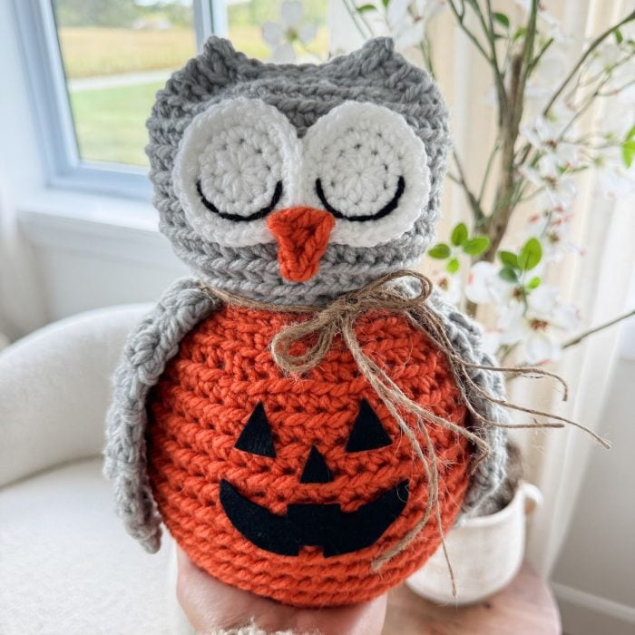 Woodland Ami Owl Pattern: Easy Free Crochet Pattern - MJ's off the