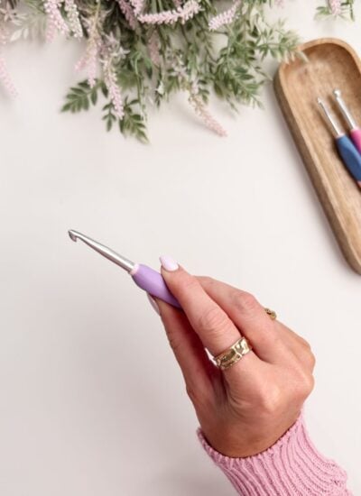 A hand holding a purple crochet hook, with a tray holding two more crochet hooks and some greenery in the background.